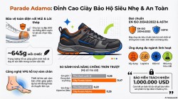 Giày bảo hộ nam thấp cổ ADAMO