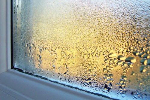 Các mối nguy hiểm đối với sức khỏe của độ ẩm tại nơi làm việc